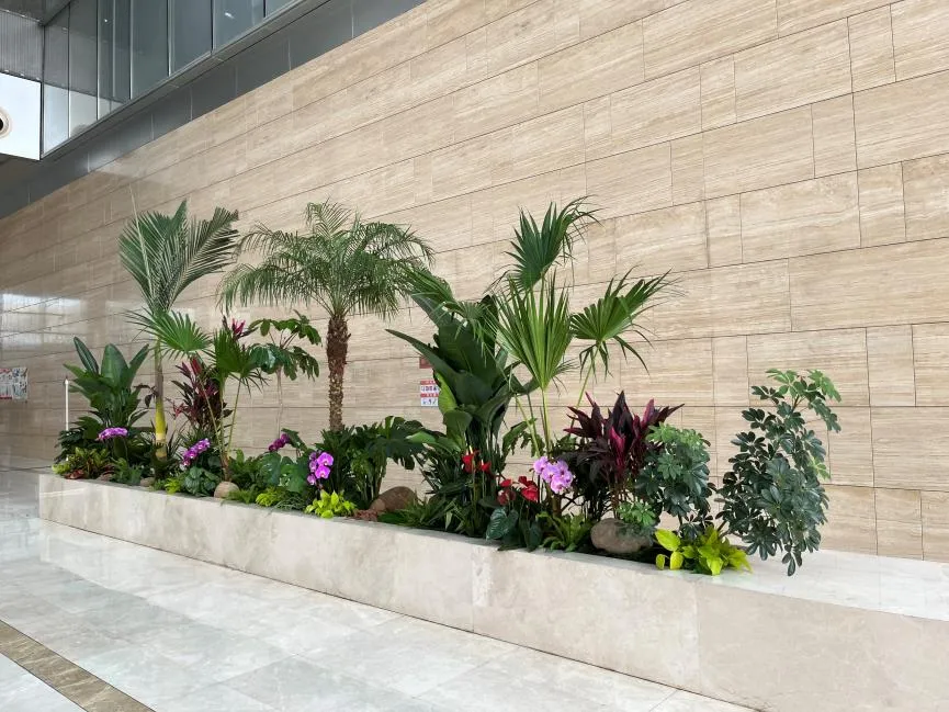 深挖宁波慈溪绿植租赁设计，点亮空间之美